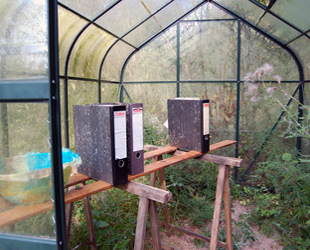 Kirsten Kötter: Organisches Archiv, 2012, Installation auf dem Waldgrundstück.