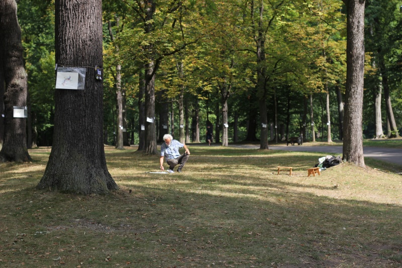 2025-08-21_malathon-chemnitz_baeume_2978 (Kirsten Kötter)