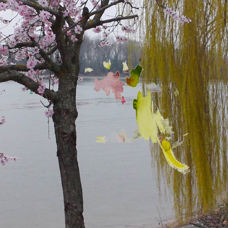 protokoll_03-15_2022-03-16_rhein-biebrich-bank-bei-farbrik_baum_50-50_dynsaett20, Wiesbaden-Biebrich, digital montage (Kirsten Kötter)